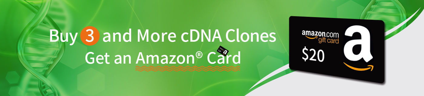 cDNA clone promotion banner